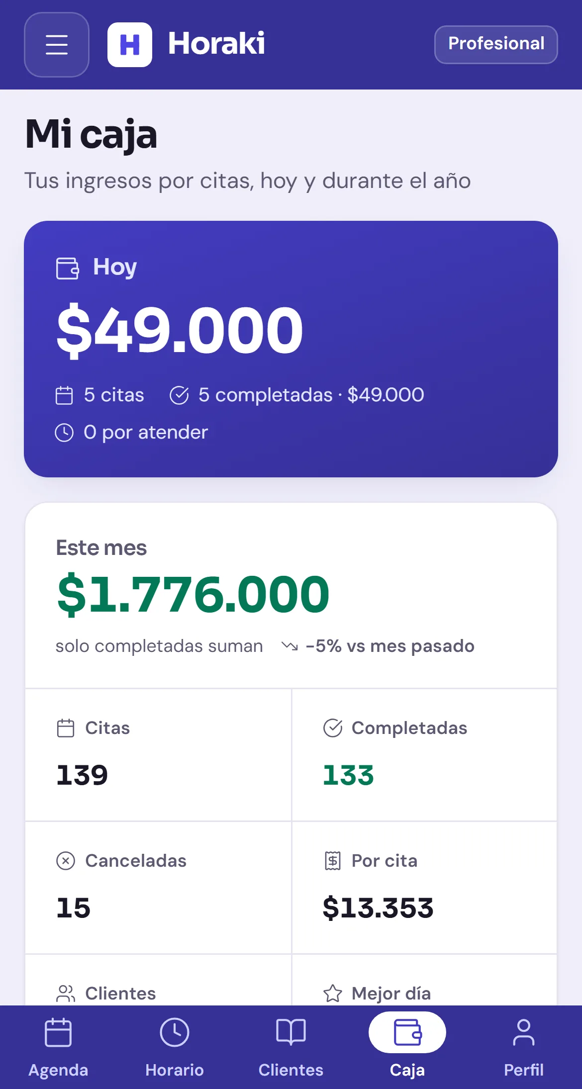 Caja del profesional en Horaki: ingresos de hoy y del mes, con citas completadas y canceladas. Datos de demostración.